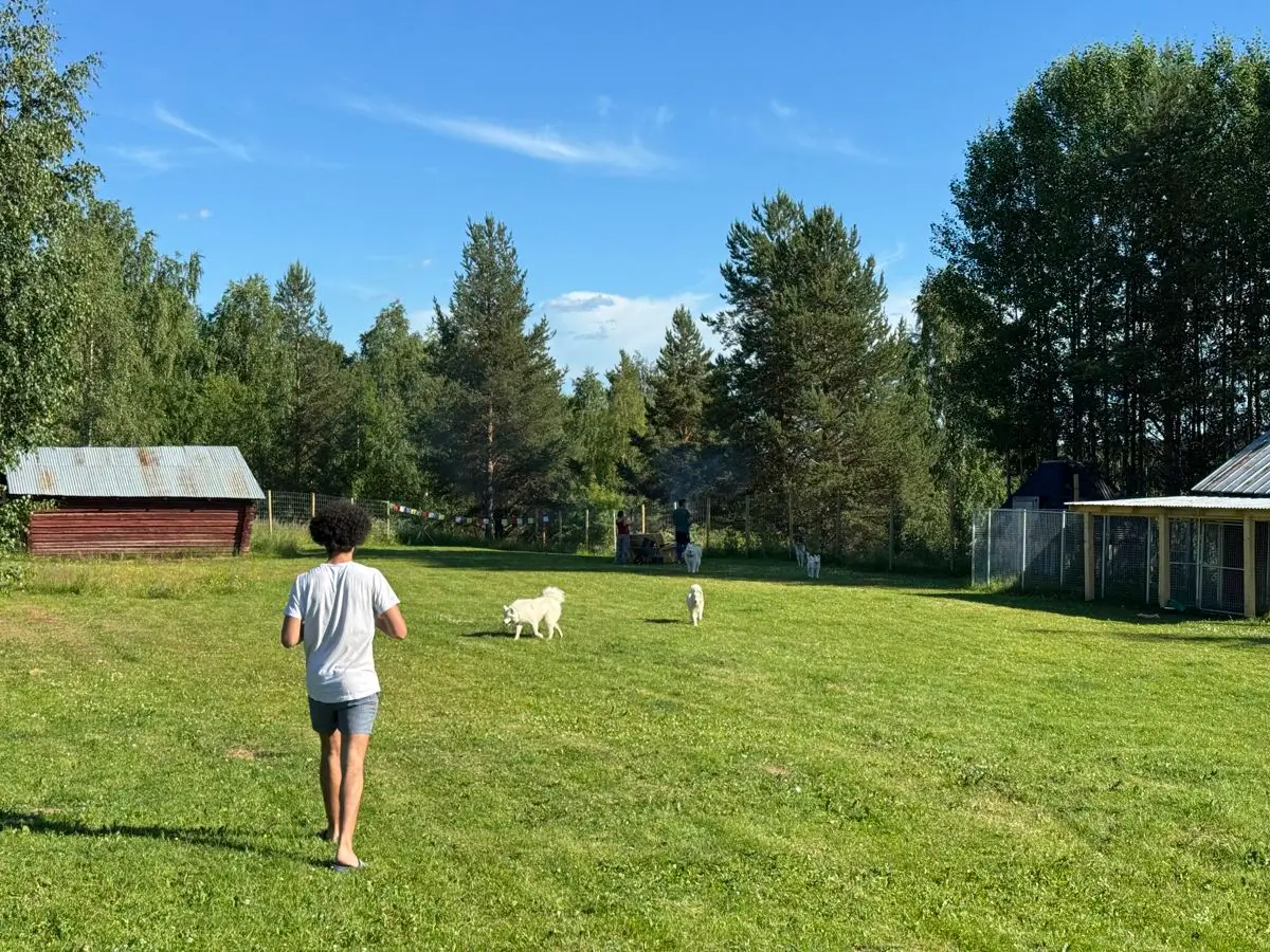 Sommerretreat-Lappland